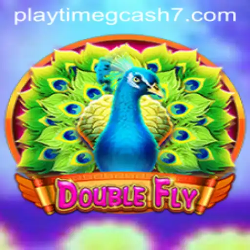 Discovering DoubleFly: A New Adventure in Virtual Playtime